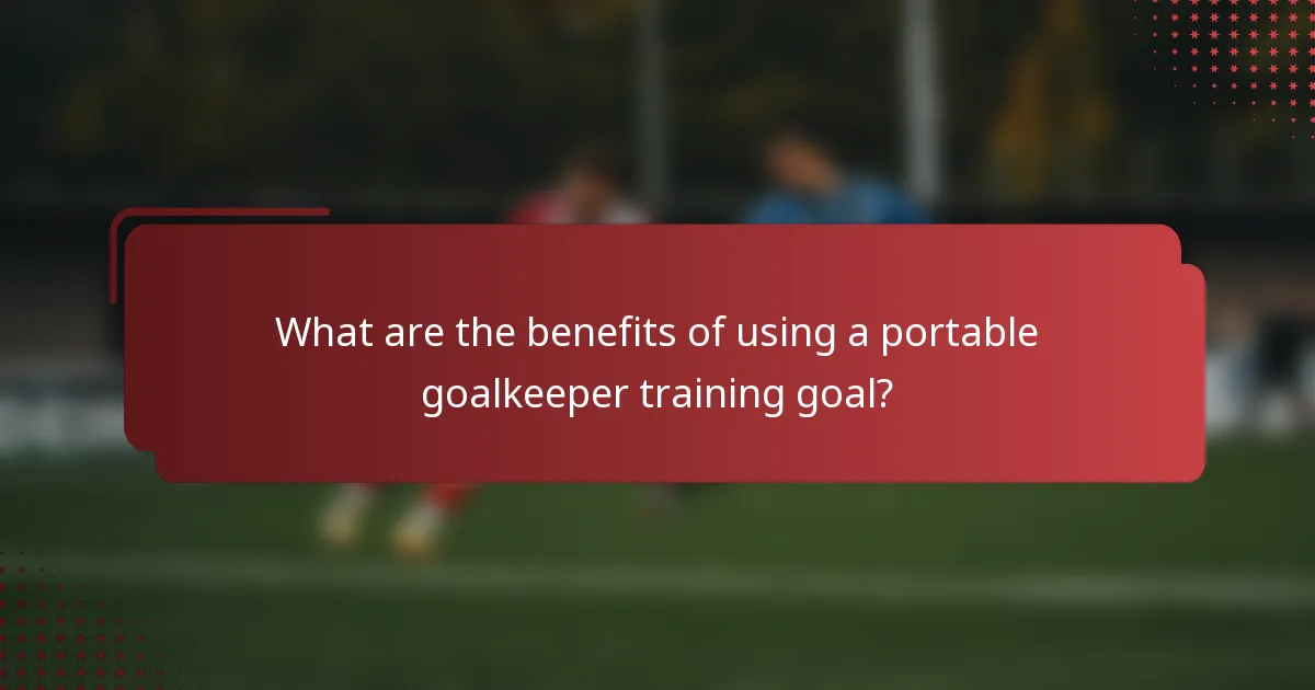 What are the benefits of using a portable goalkeeper training goal?