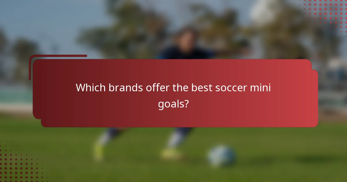 Which brands offer the best soccer mini goals?