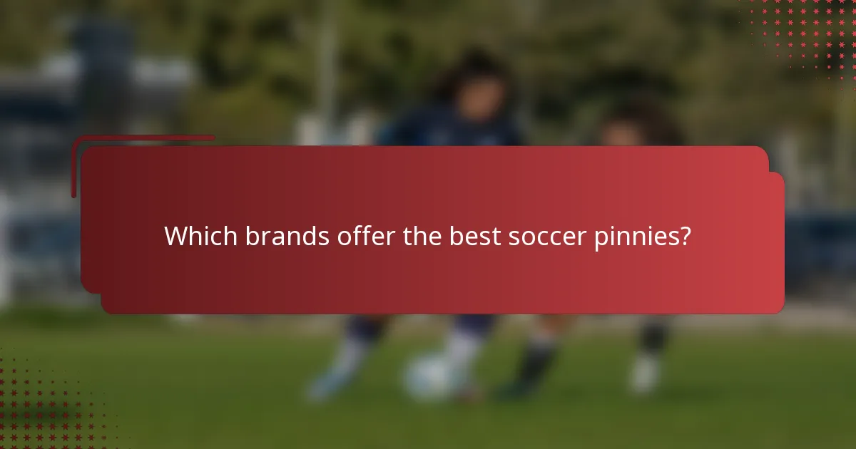 Which brands offer the best soccer pinnies?